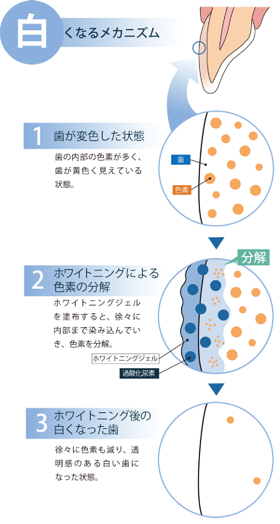 どうして白くなるの?