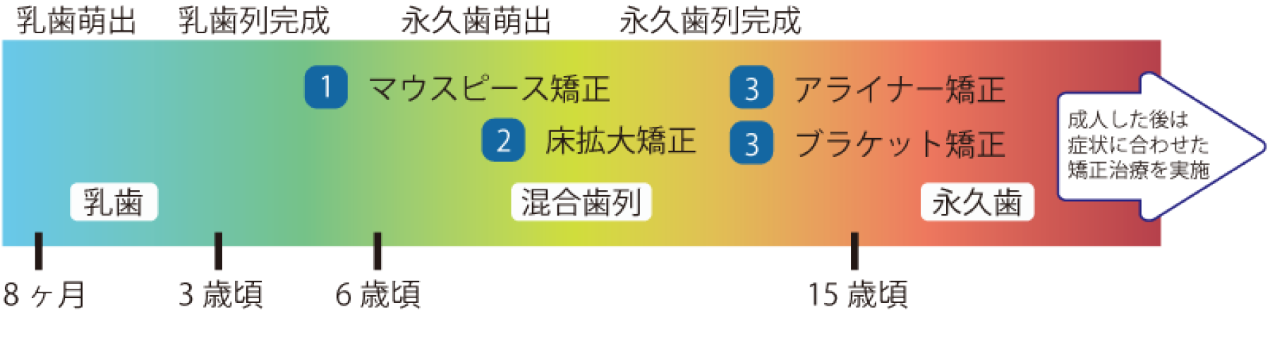 年齢別、歯列矯正のロードマップ