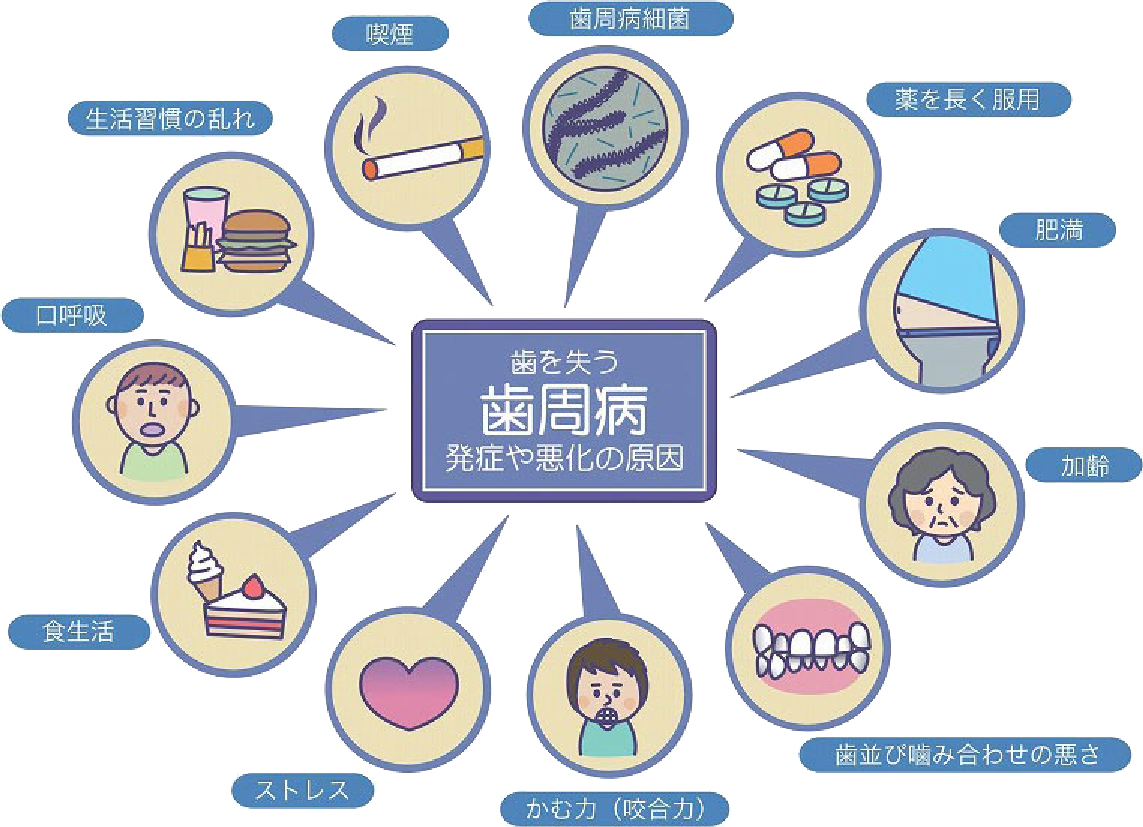 口腔管理の基本として、歯周病治療・予防に力を入れています